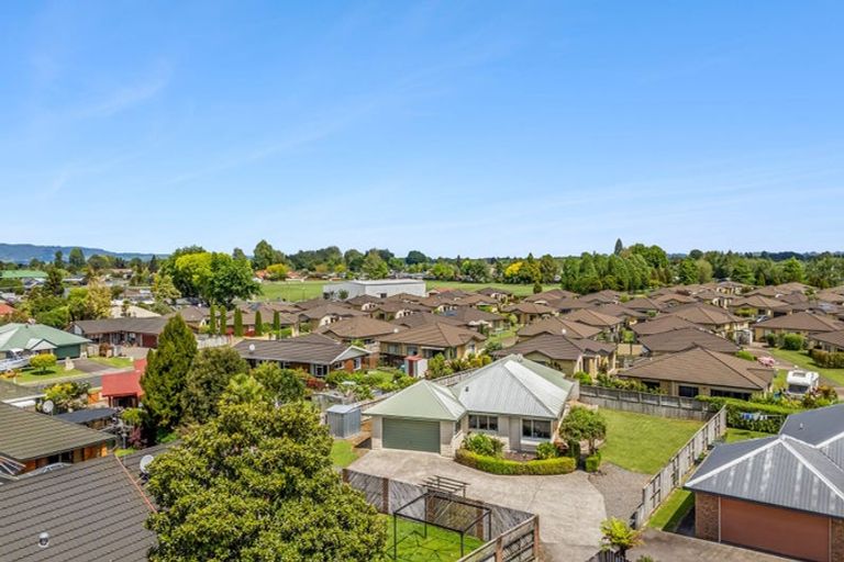 Photo of property in 6 Sharp Place, Matamata, 3400