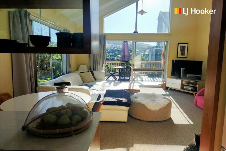 Photo of property in 6c Dudley Place, Maori Hill, Dunedin, 9010