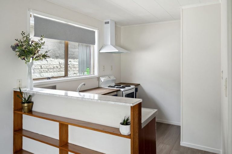 Photo of property in 55c Elizabeth Street, Victoria, Rotorua, 3010