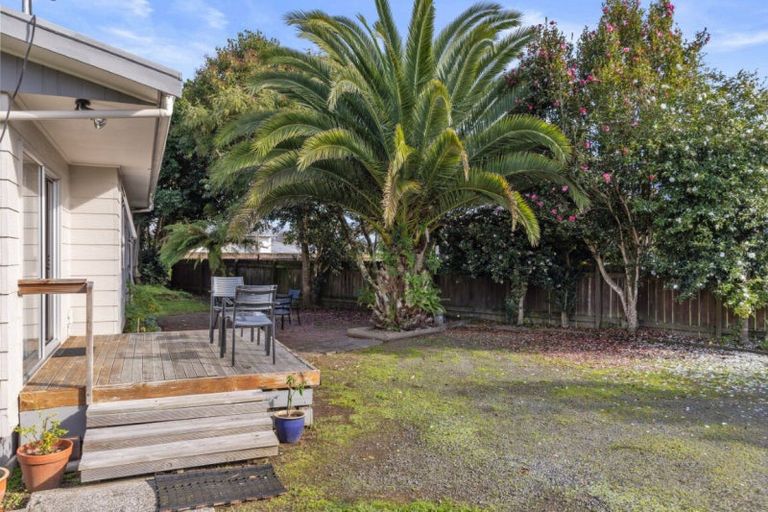 Photo of property in 55b Fifth Avenue, Enderley, Hamilton, 3214