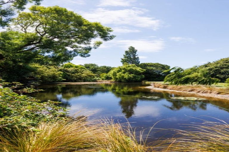 Photo of property in 291 Napier Road, Kelvin Grove, Palmerston North, 4470