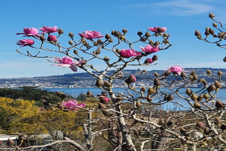 Photo of property in 26b Howard Street, Macandrew Bay, Dunedin, 9014