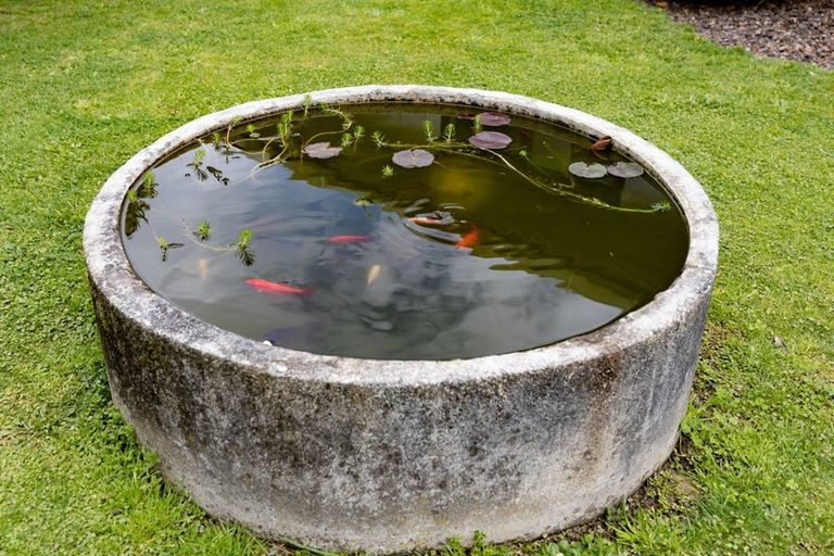 Photo of property in 23 Ranfurly Street, Solway, Masterton, 5810