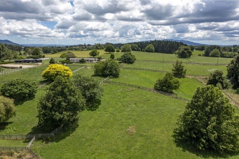 Photo of property in 986 Bond Road, Te Awamutu, 3879