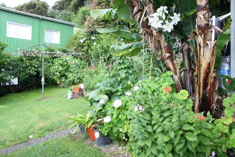 Photo of property in 21 Creagh Street, Tapu, Thames, 3575