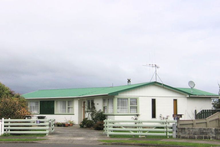 Photo of property in 6 Drake Street, Levin, 5510