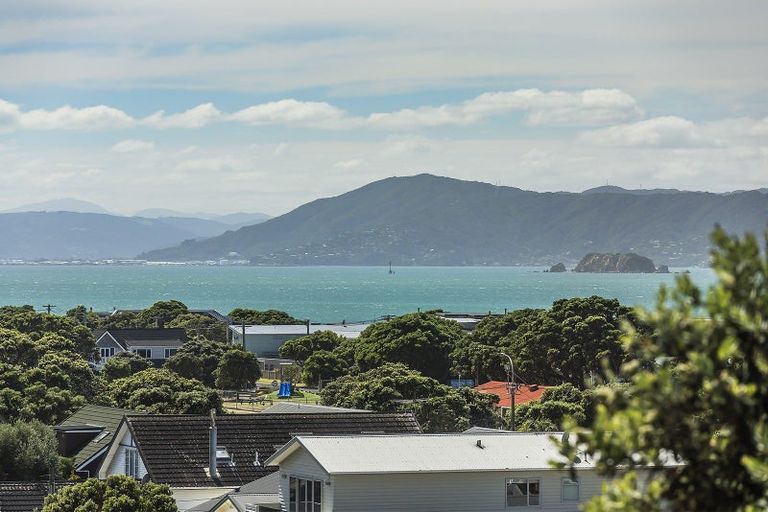 Photo of property in 4 Pinnacle Street, Seatoun, Wellington, 6022