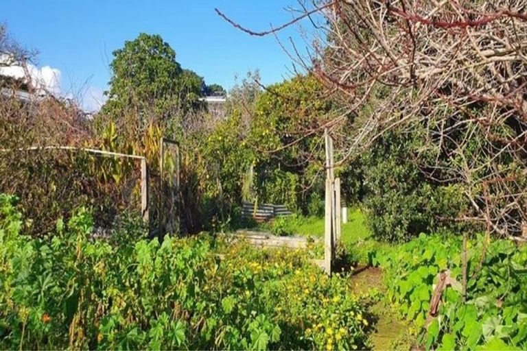 Photo of property in 11 Nikau Street, Tawhero, Whanganui, 4501