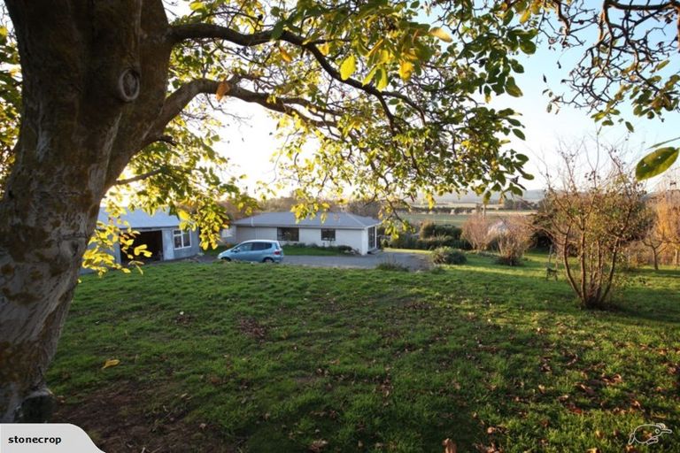 Photo of property in 19 Oxford Street, Waikari, 7420