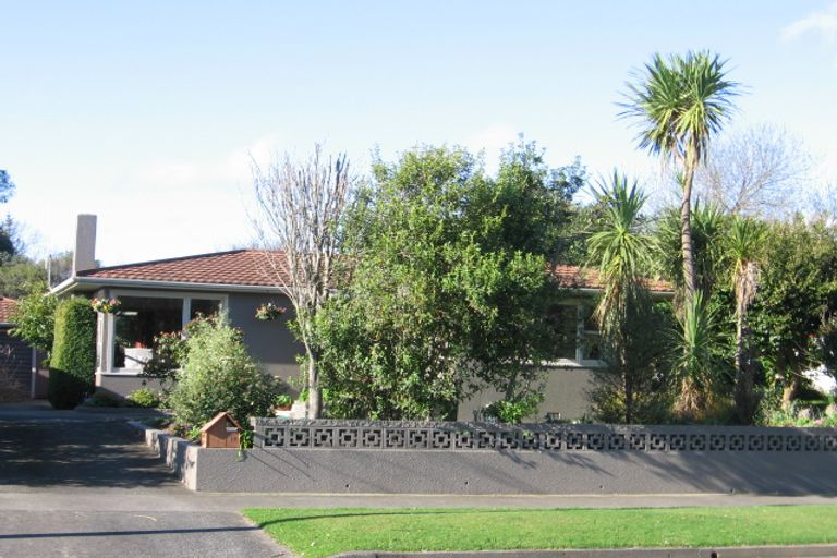 Photo of property in 17 Ruha Street, West End, Palmerston North, 4412