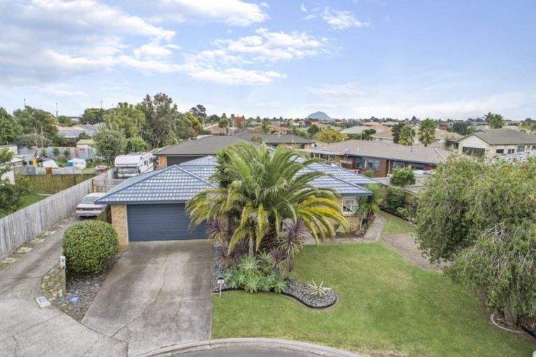 Photo of property in 14 Kentia Avenue, Mount Maunganui, 3116