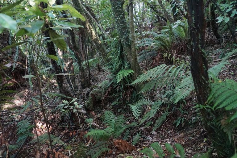 Photo of property in 5 Leith Crescent, Greymouth, 7805