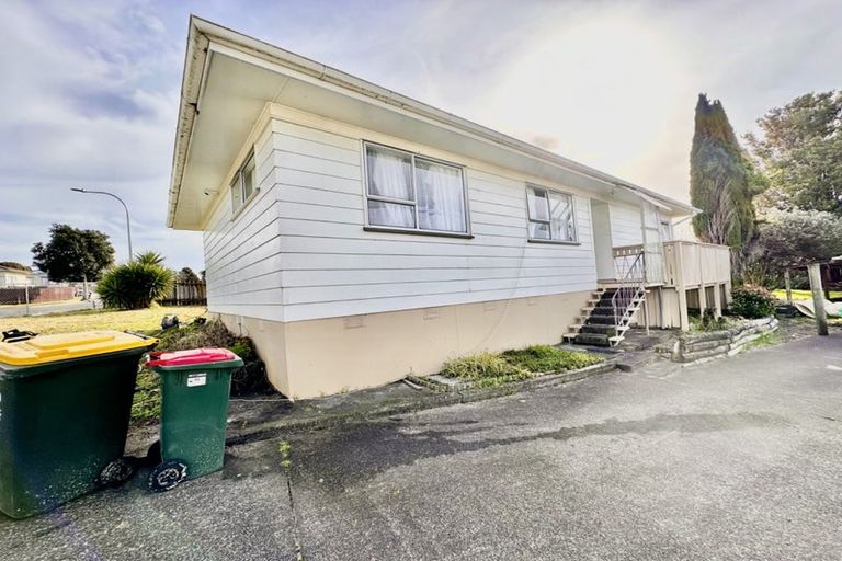 Photo of property in 45 Finlayson Avenue, Clendon Park, Auckland, 2103