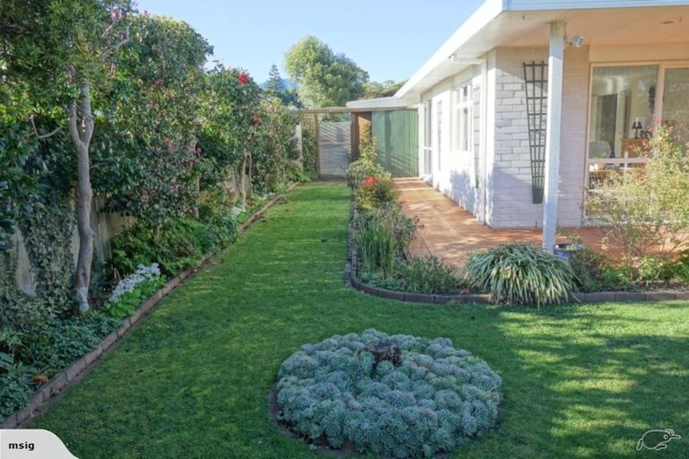 Photo of property in 393 Te Moana Road, Waikanae, 5036