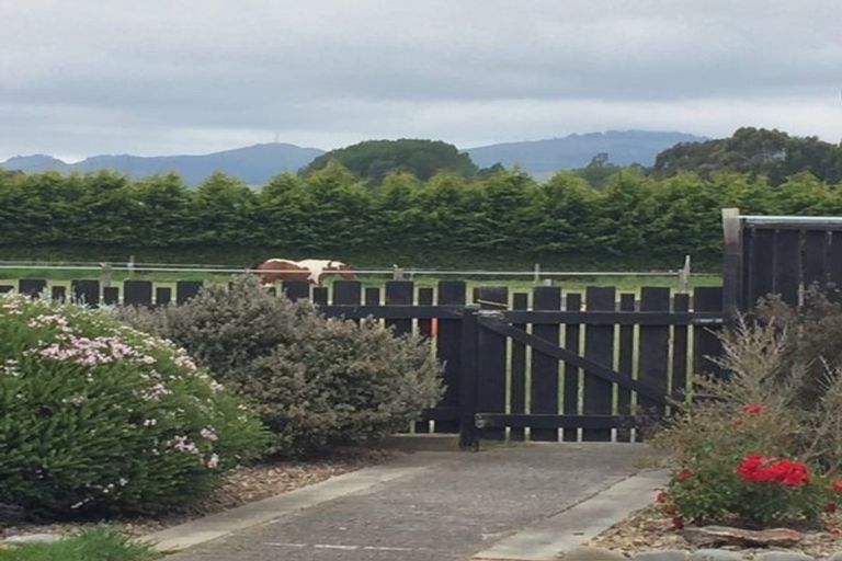 Photo of property in 241 Trices Road, Prebbleton, Christchurch, 7674