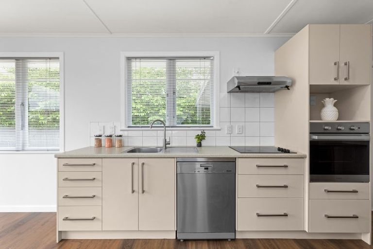 Photo of property in 99a Kenilworth Road, Mayfair, Hastings, 4122