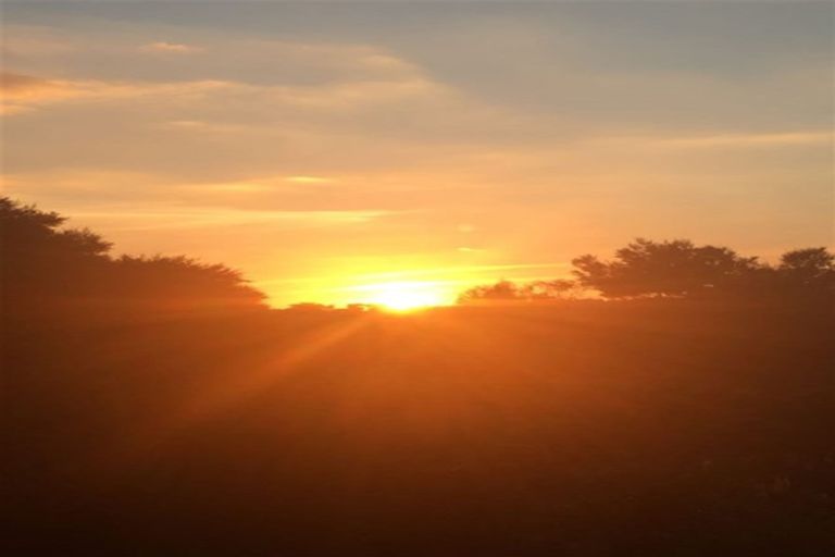 Photo of property in 31 Waitakere Road, Waitakere, Auckland, 0816