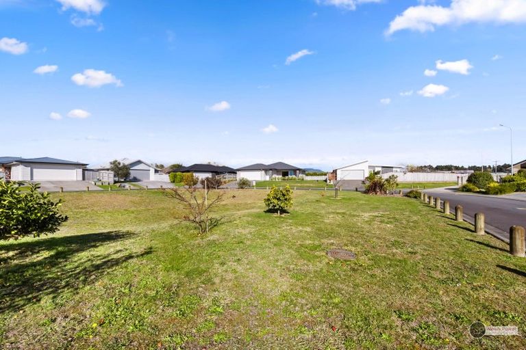 Photo of property in 12 Gardner Place, Otaki, 5512