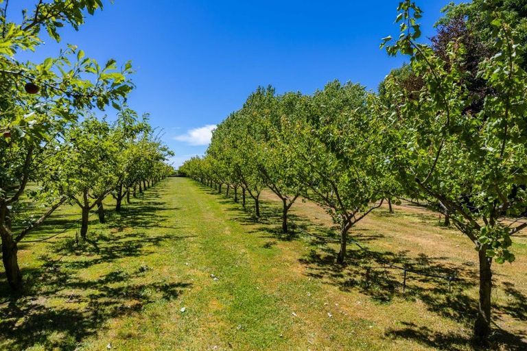 Photo of property in 92 Pauls Road, Rapaura, Blenheim, 7273