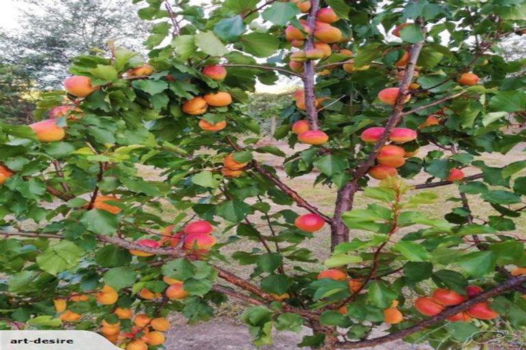 Photo of property in 967 Leader Road West, Waiau, Cheviot, 7384