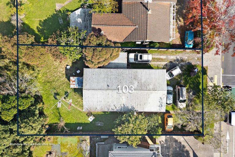 Photo of property in 103 Sunnynook Road, Forrest Hill, Auckland, 0620