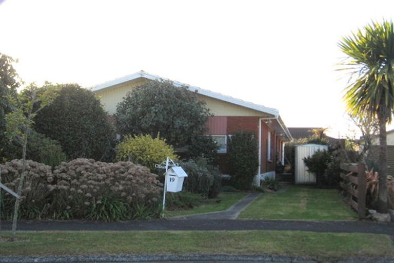 Photo of property in 19 Ngaere Avenue, Chartwell, Hamilton, 3210