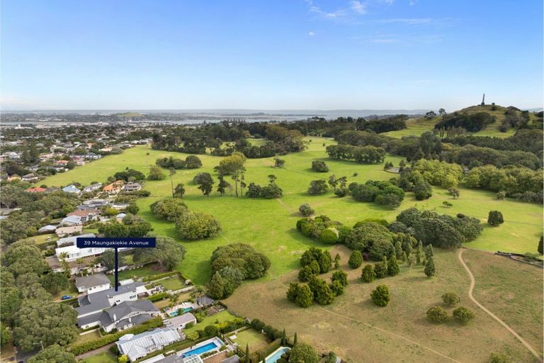 Photo of property in 39 Maungakiekie Avenue, Greenlane, Auckland, 1051
