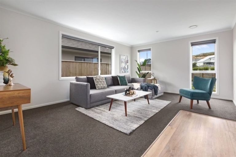 Photo of property in 64 John Burke Drive, Aotea, Porirua, 5024