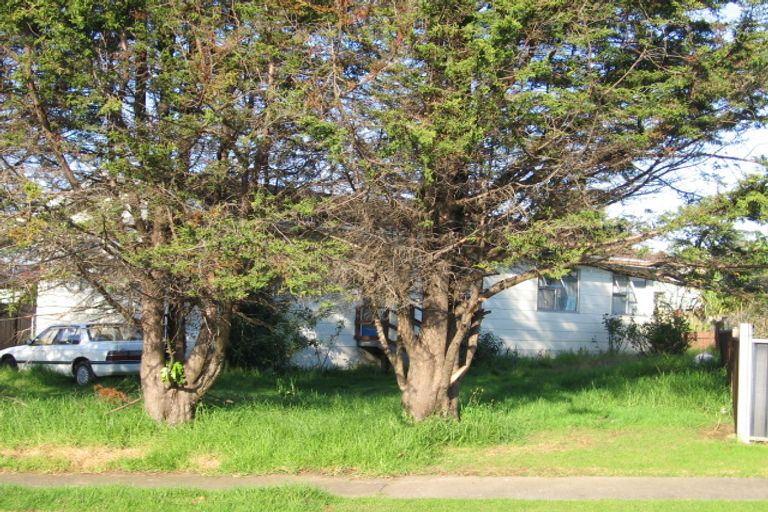 Photo of property in 68 Zelda Avenue, Clover Park, Auckland, 2023