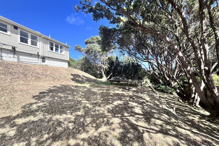 Photo of property in 100 Sidlaw Street, Strathmore Park, Wellington, 6022