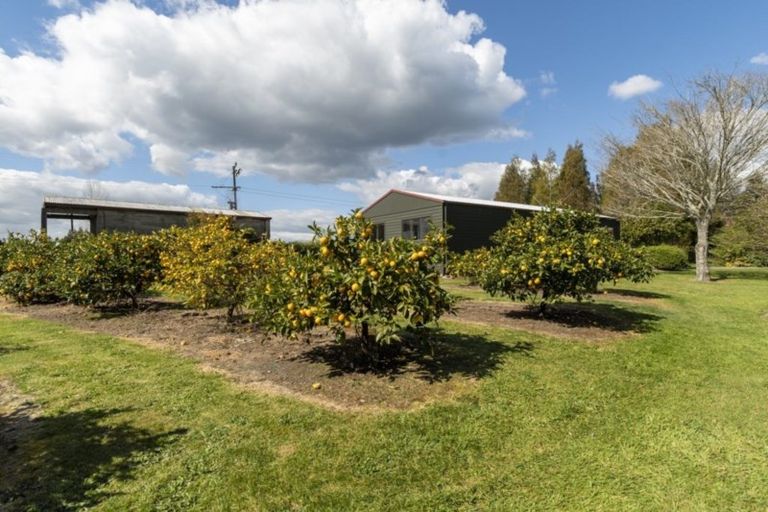 Photo of property in 86 Mountain Road, Oropi, Tauranga, 3173