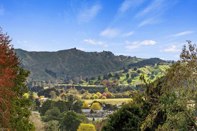 Photo of property in 40 Valley Road, Manunui, Taumarunui, 3924