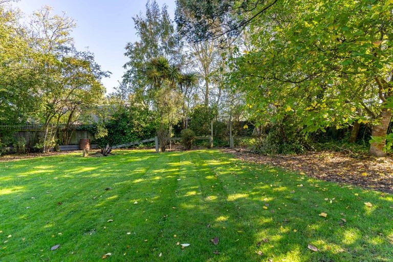 Photo of property in 8 Pope Street, Milton, 9220