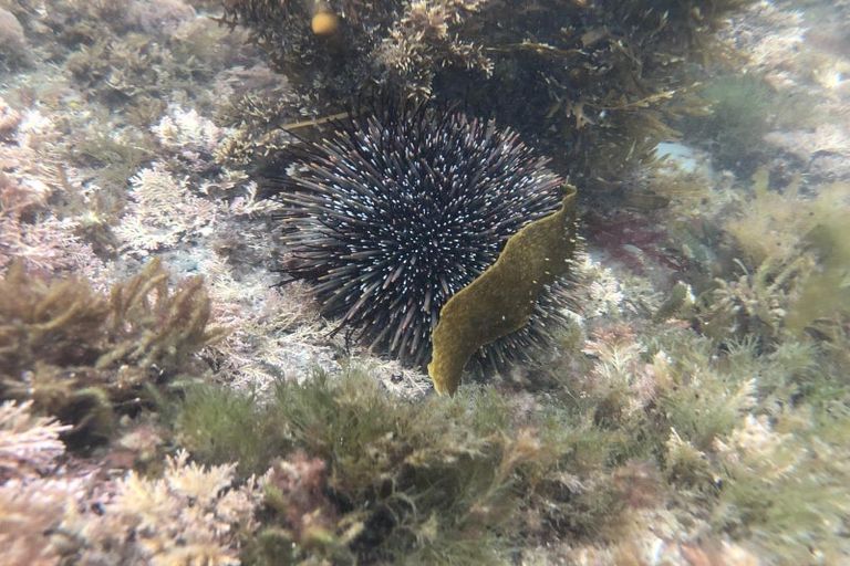 Photo of property in 1 Nunu Drive, Flat Point, Masterton, 5883