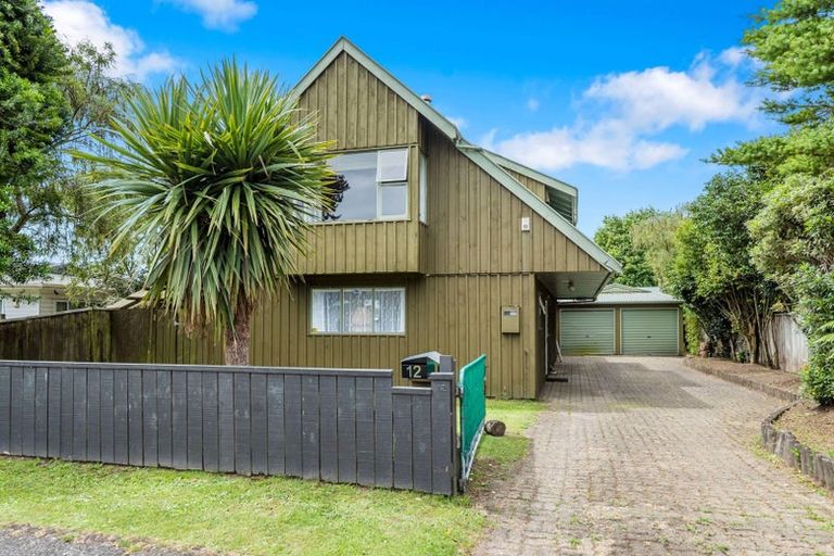 Photo of property in 12 Hirangi Road, Turangi, 3334