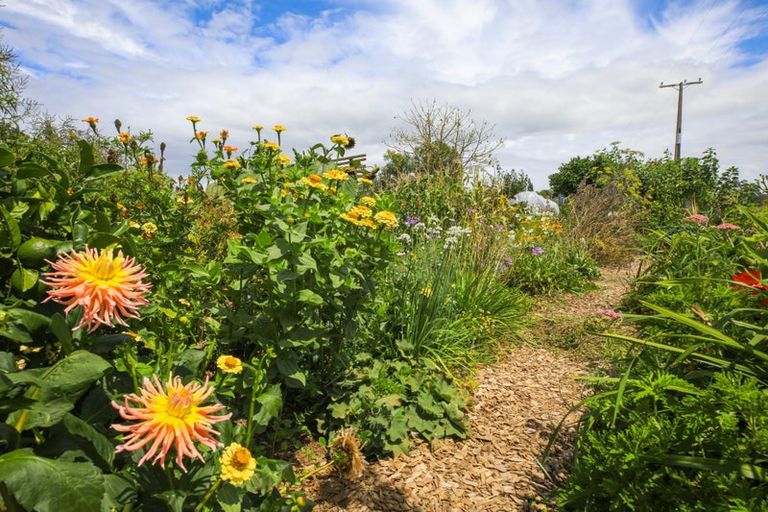 Photo of property in 18 Neavesville Road, Puriri, Thames, 3578