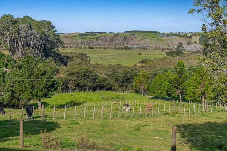 Photo of property in 499 Shelly Beach Road, South Head, Helensville, 0874