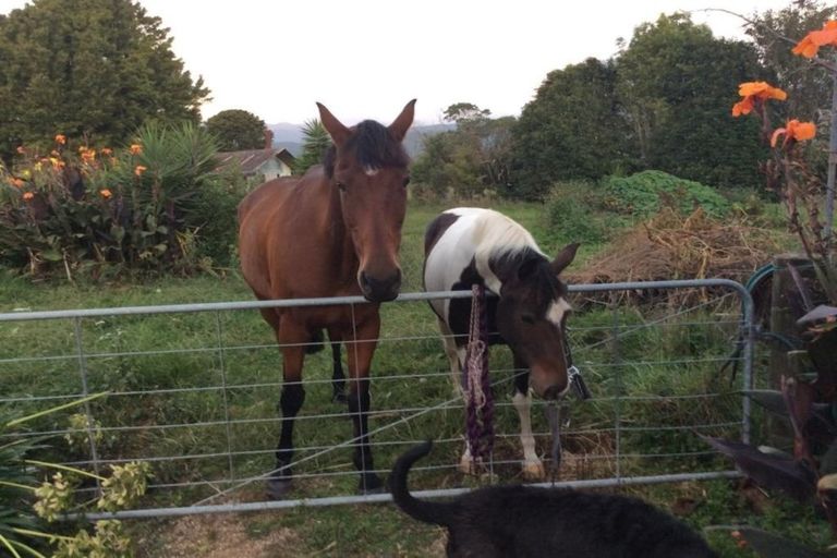 Photo of property in 17 Riveredge Terrace, Ohau, Levin, 5570