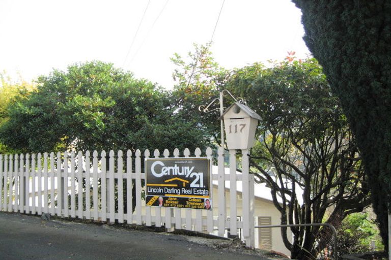Photo of property in 117 Evans Street, Opoho, Dunedin, 9010