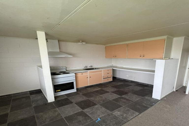 Photo of property in 14-16 Mako Mako Road, Levin, 5510