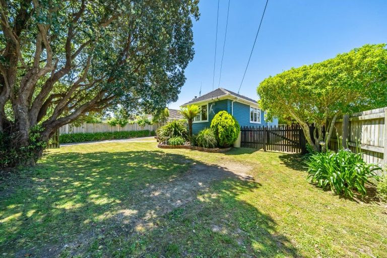 Photo of property in 45 Black Beech Street, Birchville, Upper Hutt, 5018
