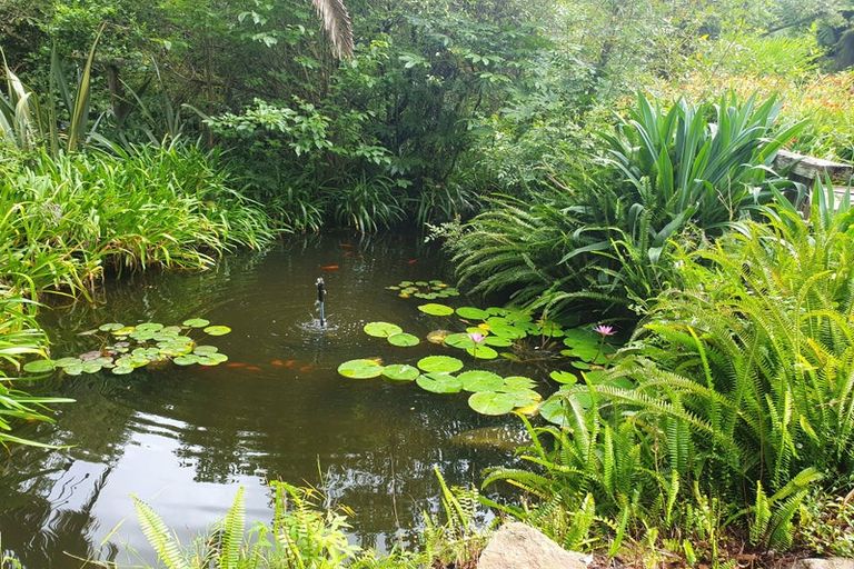 Photo of property in 61 Gilchrist Street, Te Aroha, 3320