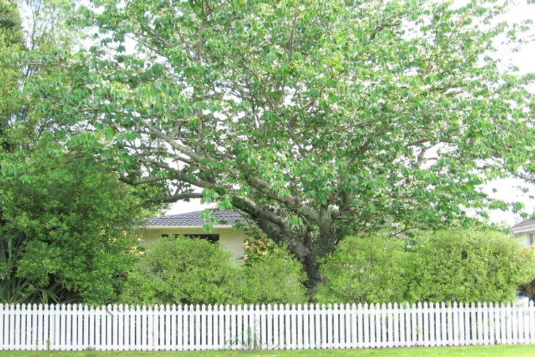 Photo of property in 4 Elm Street, Mangapapa, Gisborne, 4010