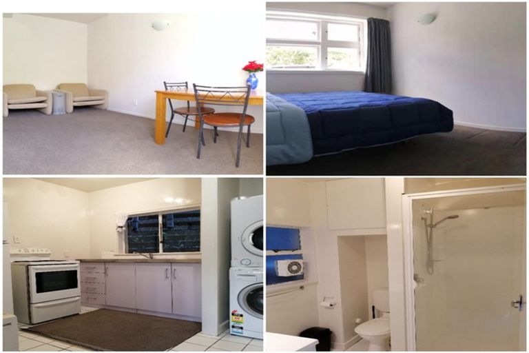 Photo of property in Parkland Flats, 2/51 Adams Terrace, Kelburn, Wellington, 6021