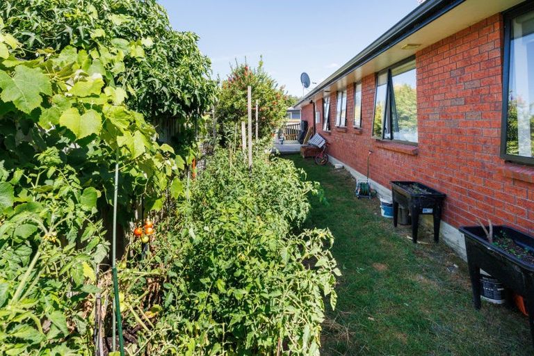 Photo of property in 57 North Street, Palmerston North, 4410