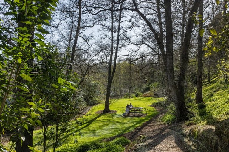 Photo of property in 45a Te Awa Lane, Tamahere, Hamilton, 3283