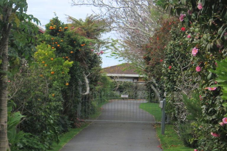 Photo of property in 407 Otumoetai Road, Otumoetai, Tauranga, 3110