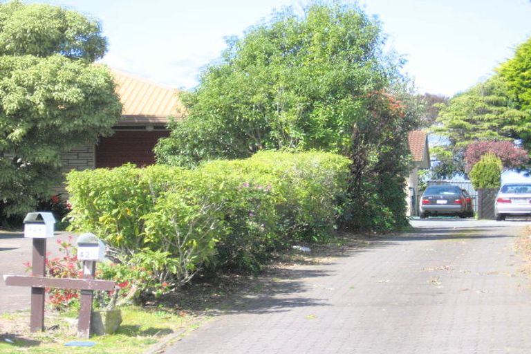 Photo of property in 42a Sunrise Avenue, Mount Maunganui, 3116