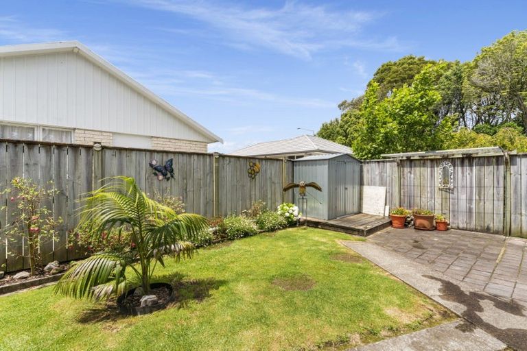 Photo of property in 303a Maungatapu Road, Maungatapu, Tauranga, 3112