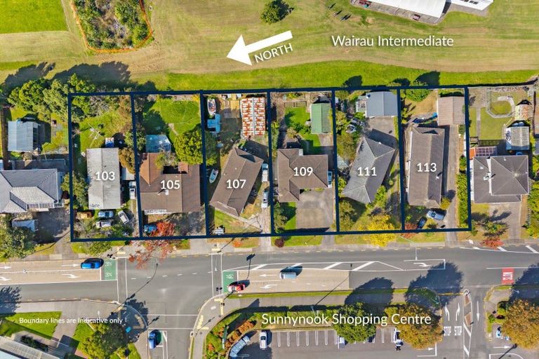 Photo of property in 103 Sunnynook Road, Forrest Hill, Auckland, 0620